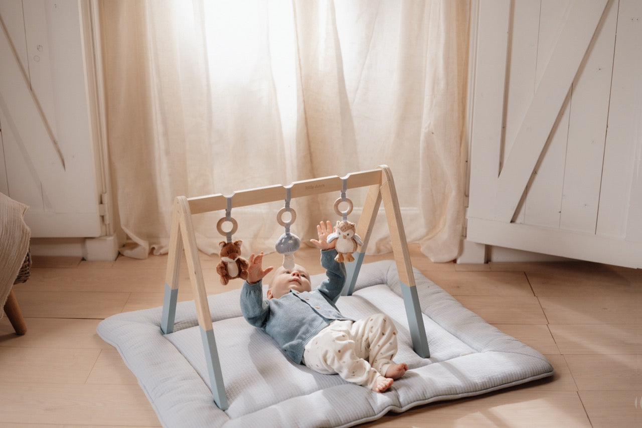 Little-Dutch-Babygym-Spieltrapez-Forest-friends-LD8910